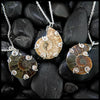 Ammonite Fossil Pendants in Sterling Silver and 14K Rose Gold