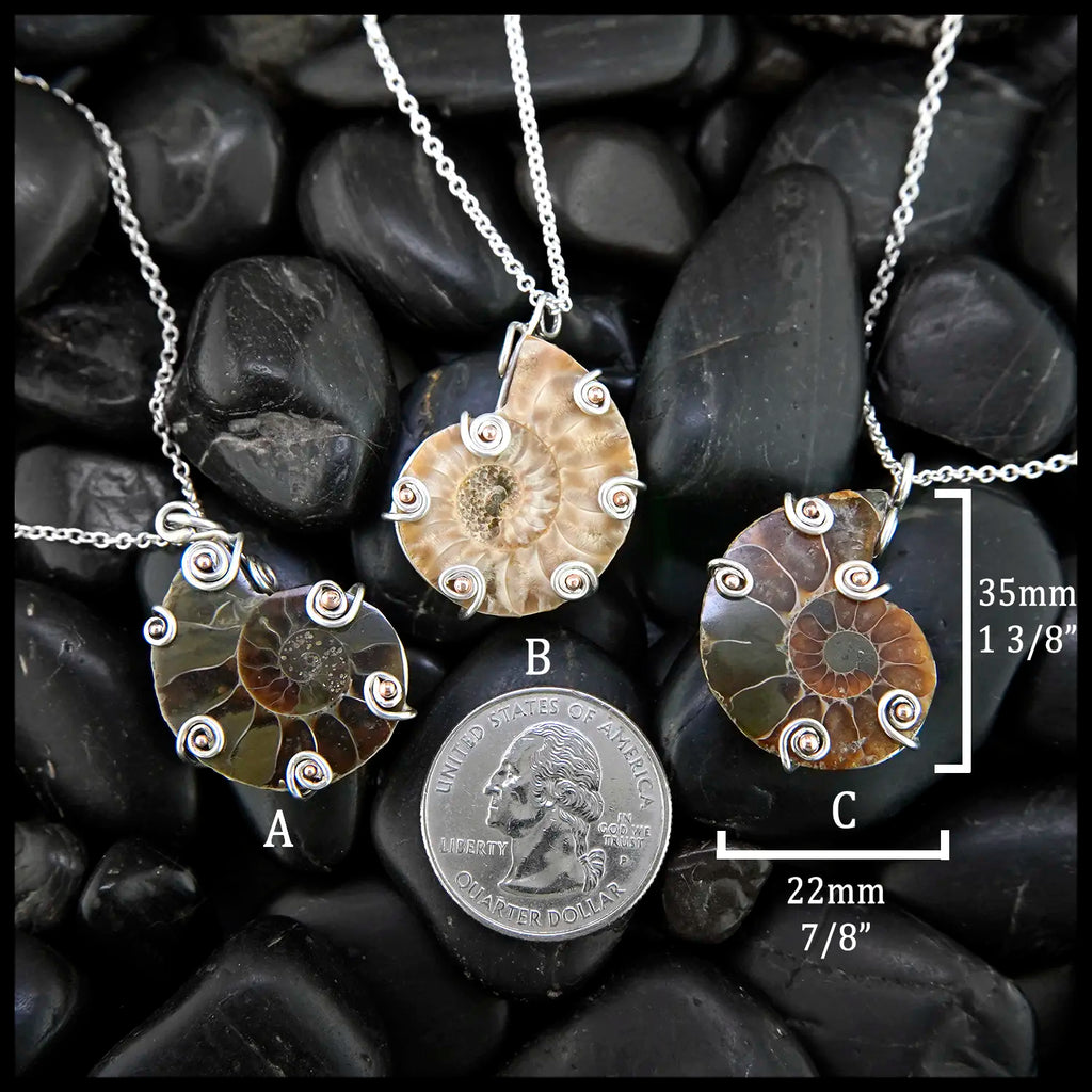 Ammonite Fossil Pendants in Sterling Silver and 14K Rose Gold
35mm x 22mm