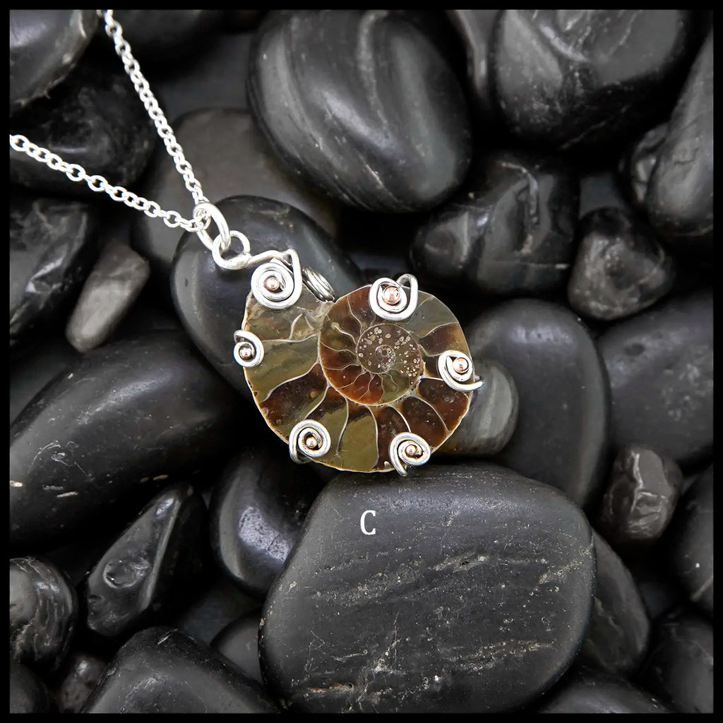 Pendant C
Ammonite Fossil Pendants in Sterling Silver and 14K Rose Gold 