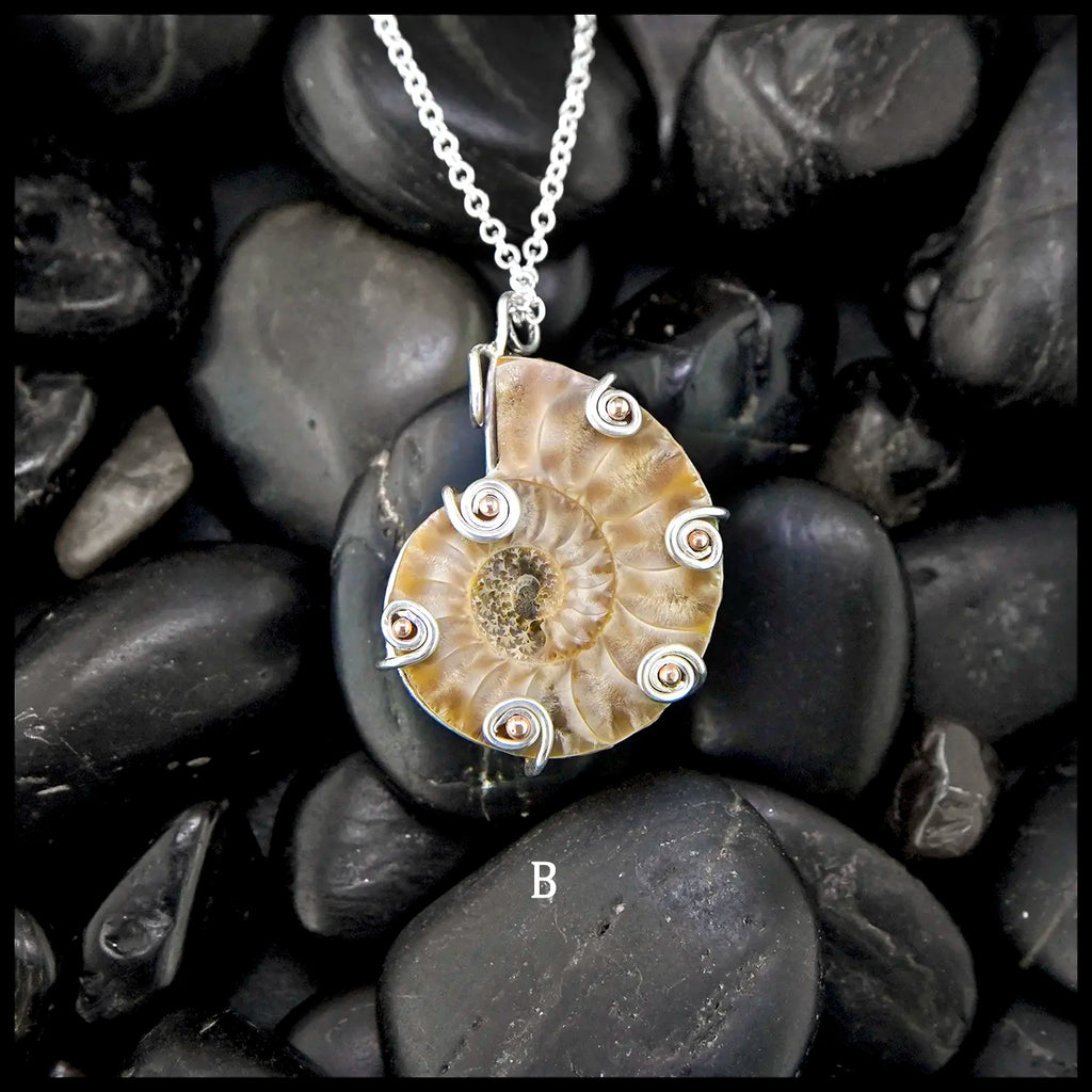 Pendant B
Ammonite Fossil Pendants in Sterling Silver and 14K Rose Gold 