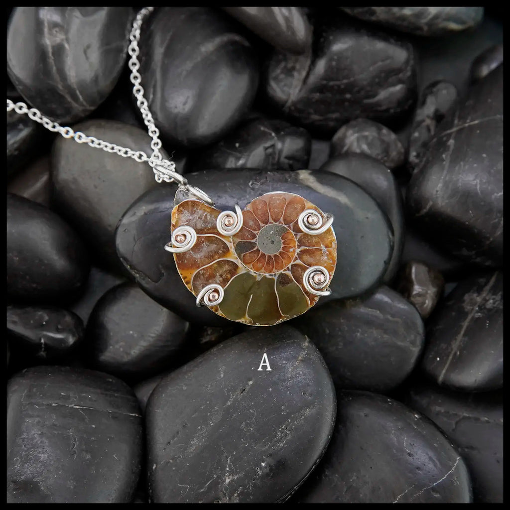 Pendant A
Ammonite Fossil Pendants in Sterling Silver and 14K Rose Gold 