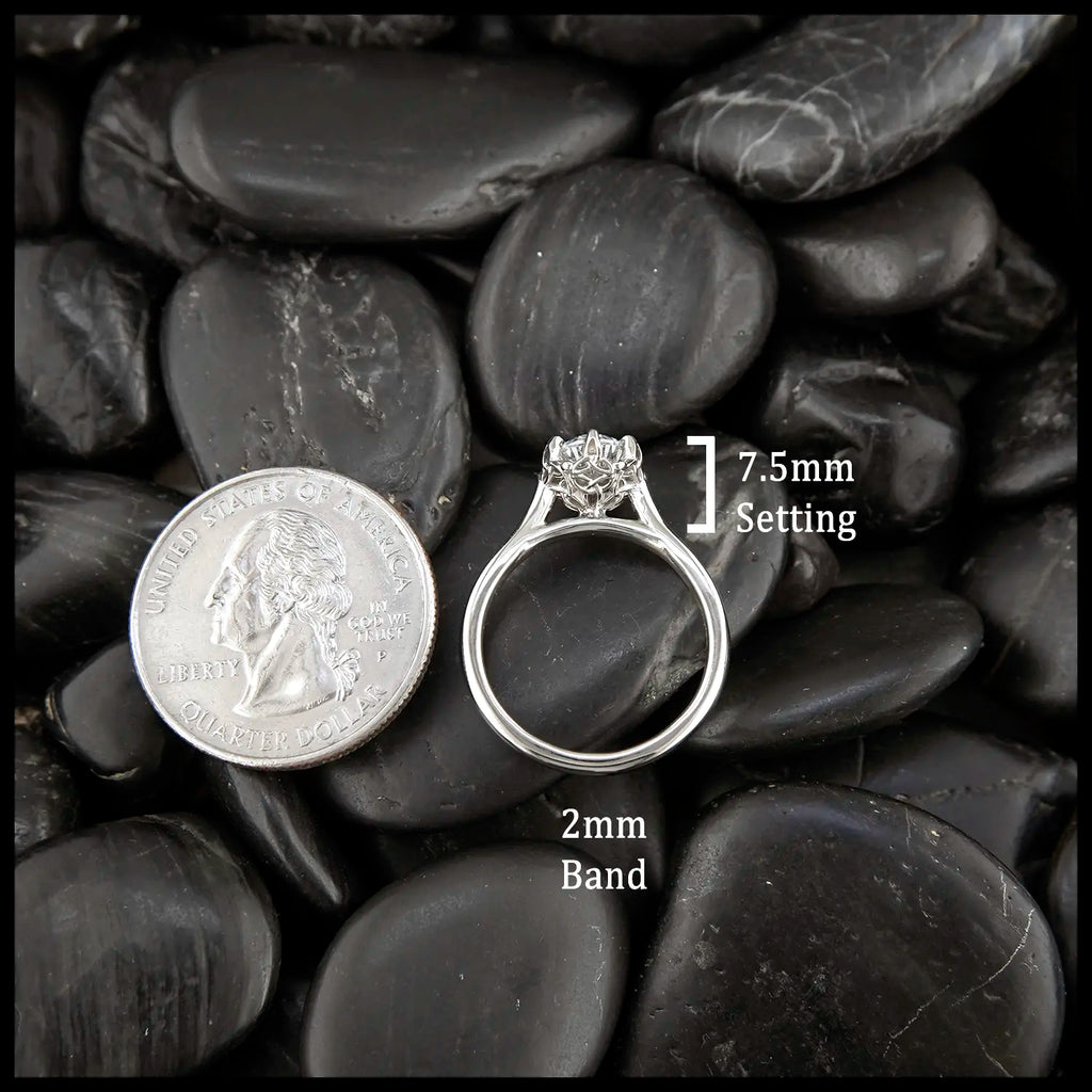 7.5mm Head, 2mm Band