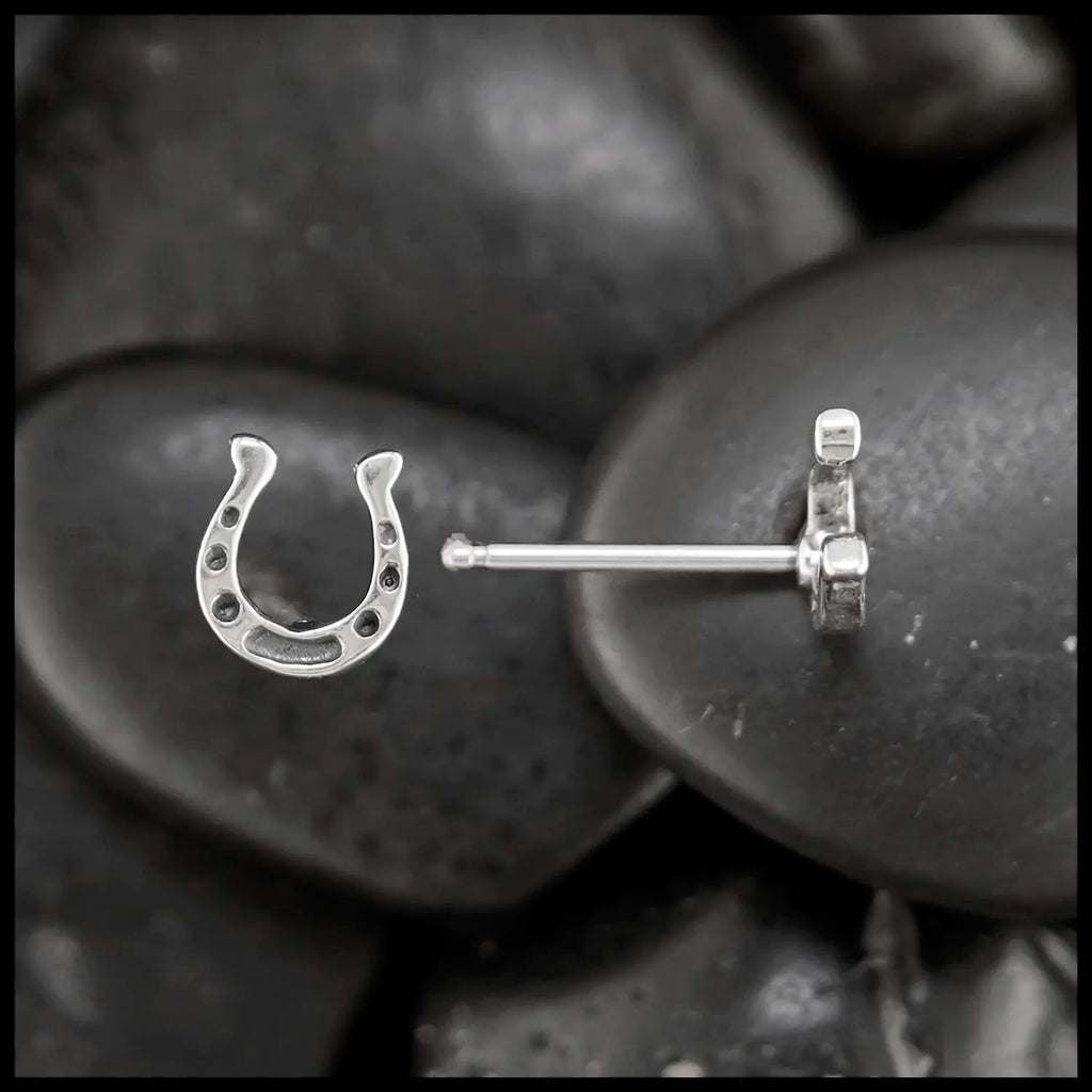 Horseshoe Post Earring