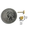 Robins Heart Post Earrings in 14K Gold