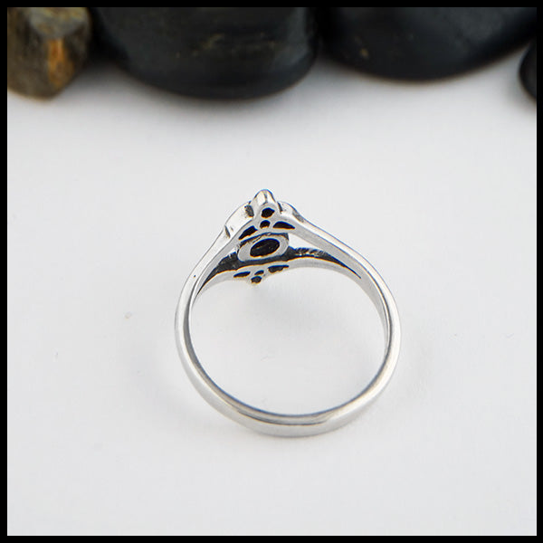 picture of interior of the ring